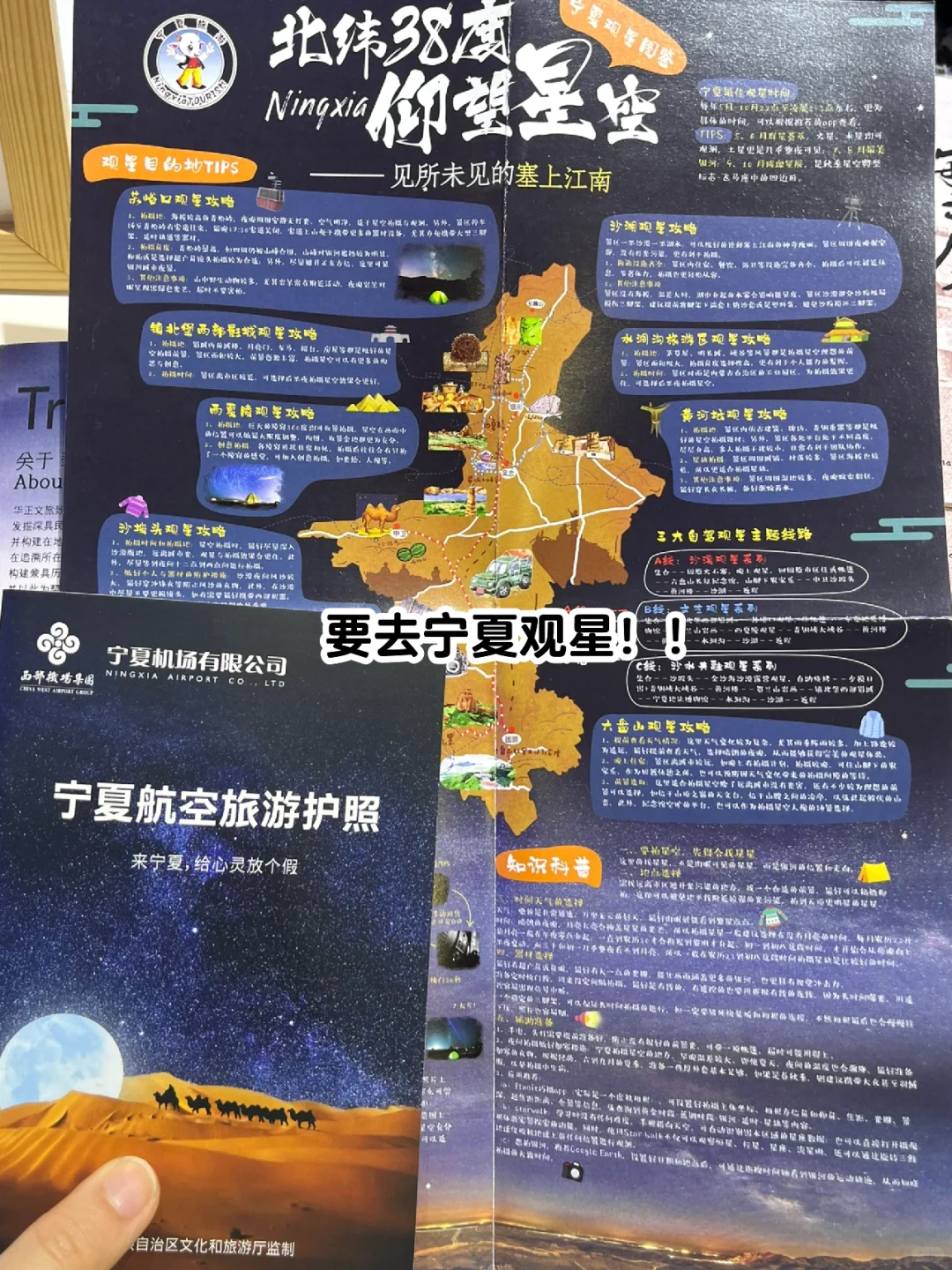 今天去逛旅游交易会啦！