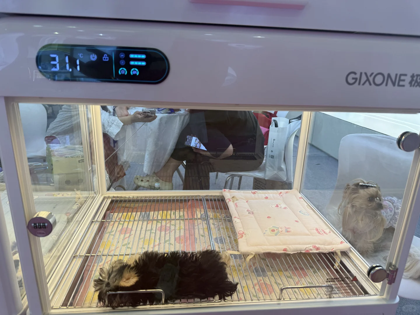 亚宠展虐宠！！！该品牌也要避雷！！