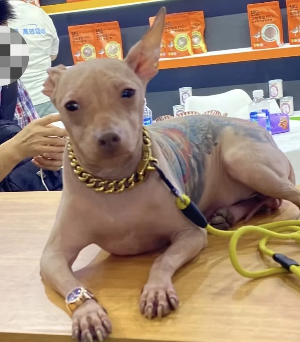 我能为你做点什么？