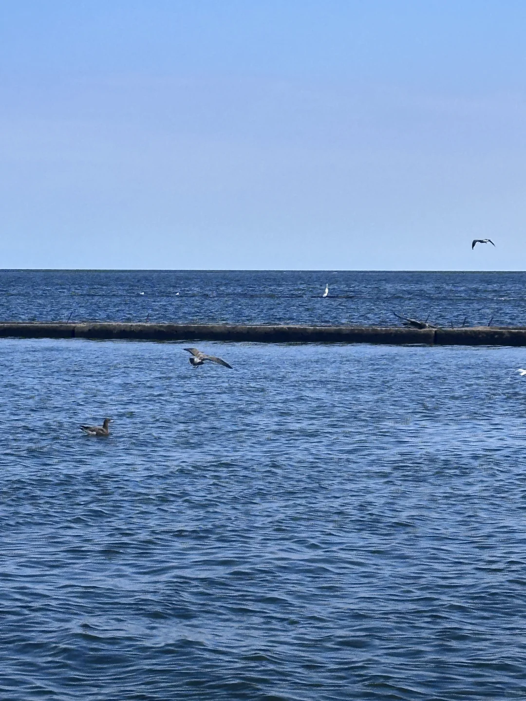 ???? ????? ??? 秦皇岛