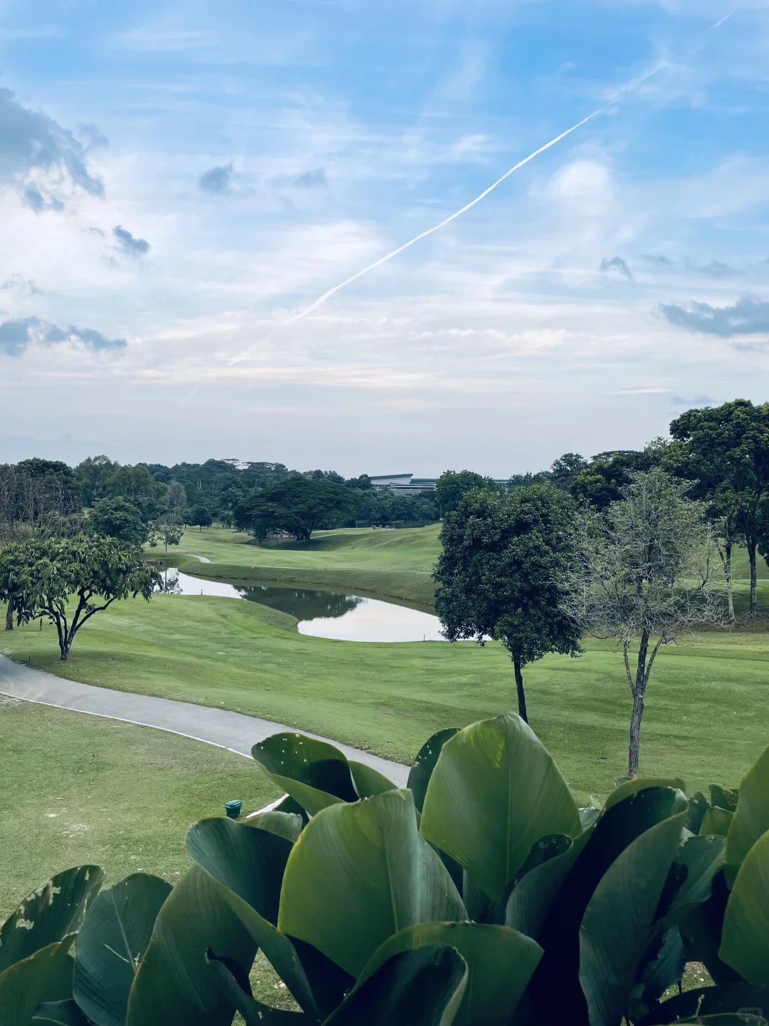 享受新加坡的穿衣自由 ?