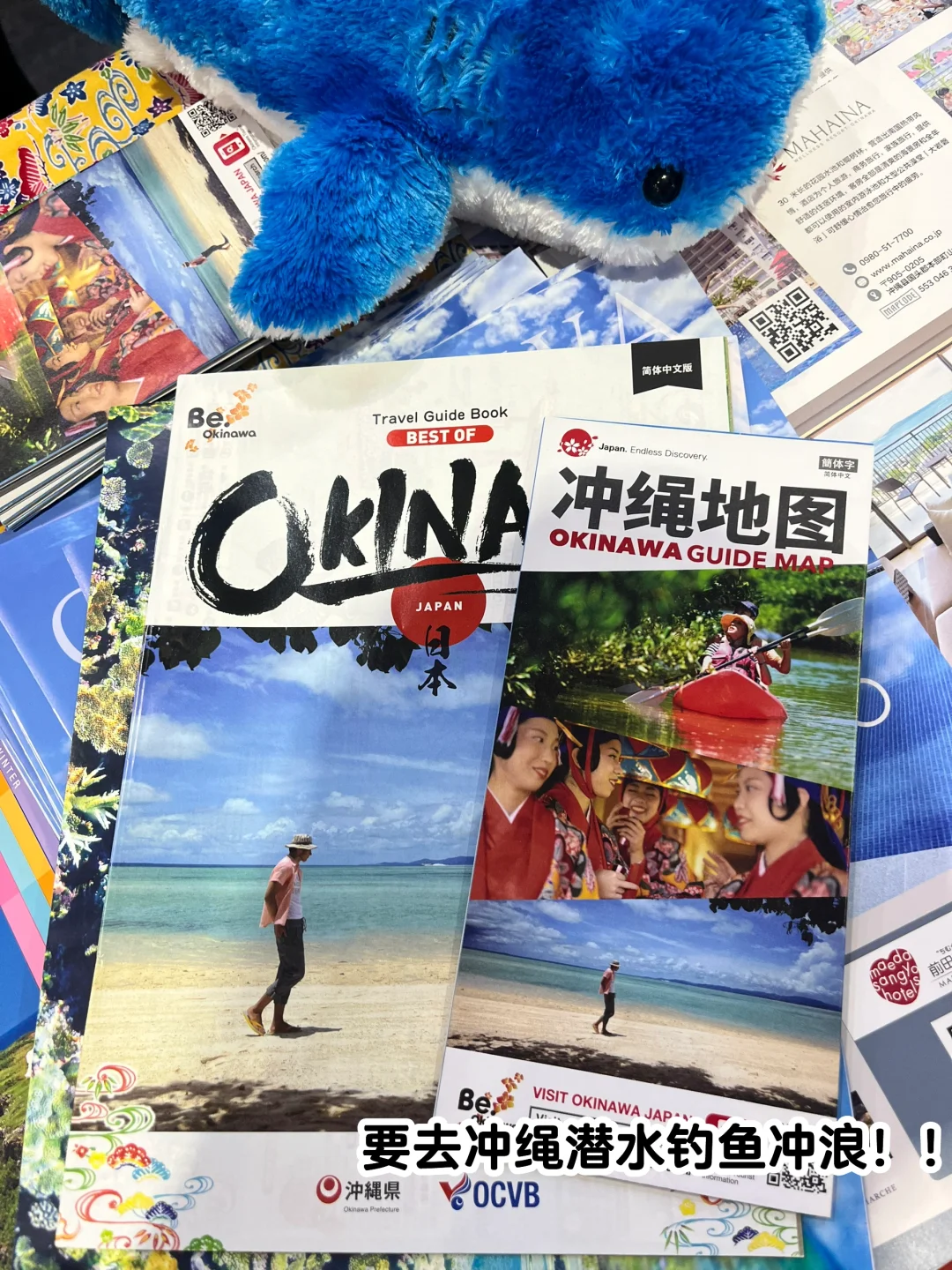 今天去逛旅游交易会啦！