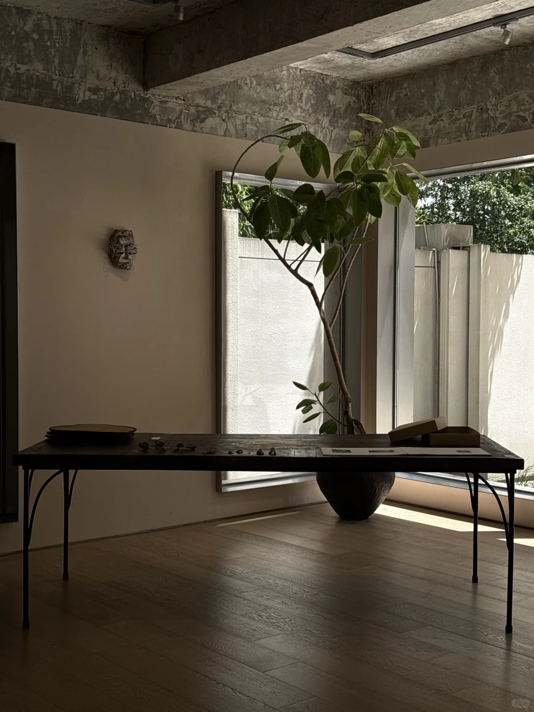 在美丽空间里看两个新展