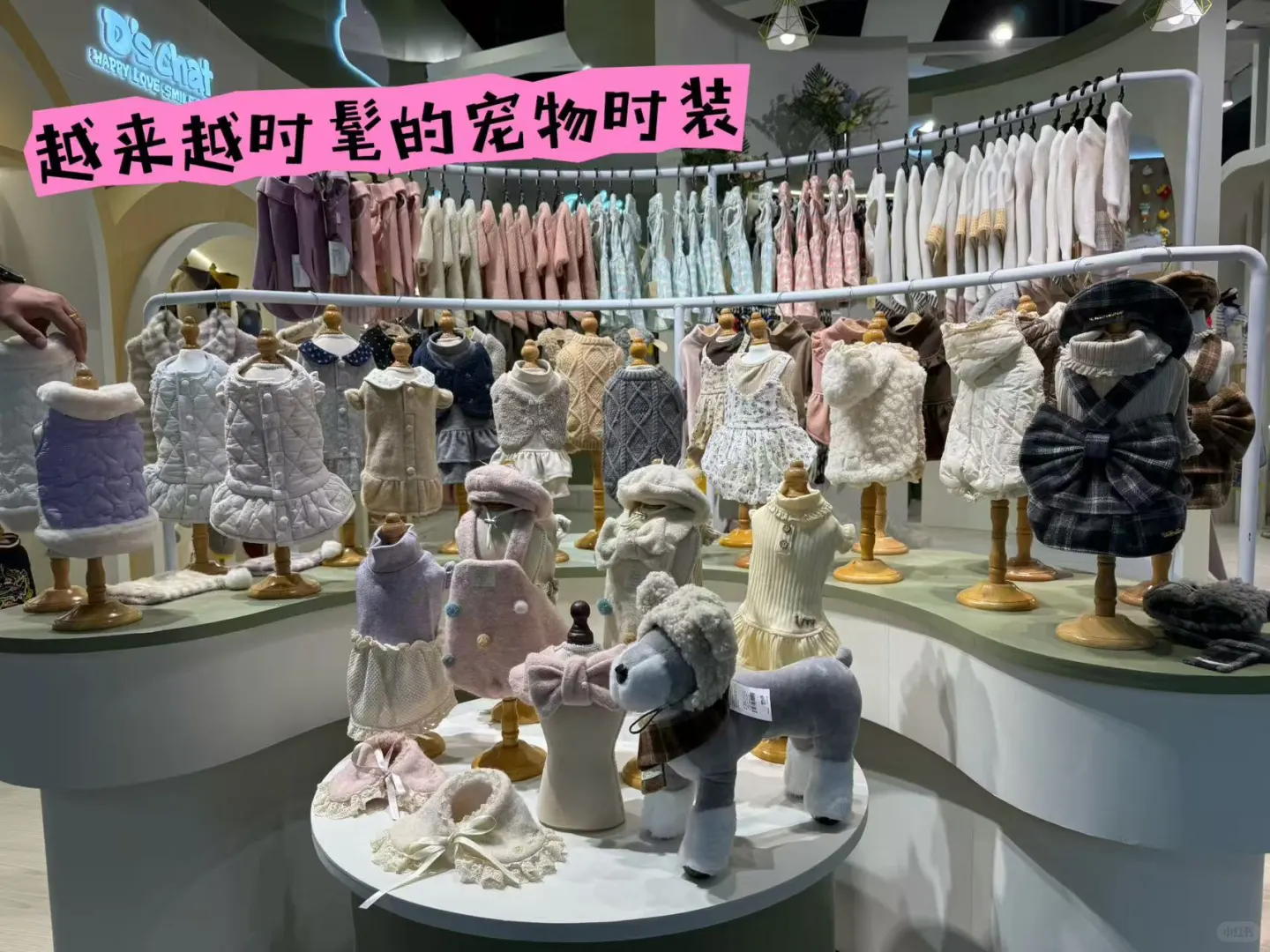 亚宠展的第一波剧透来了