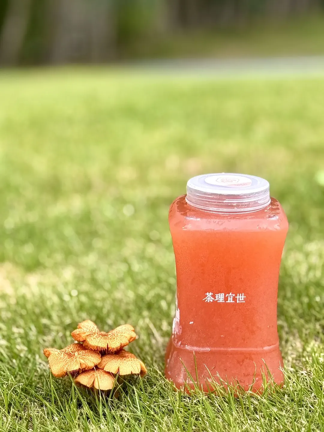 ?茶饮控的年度狂欢！