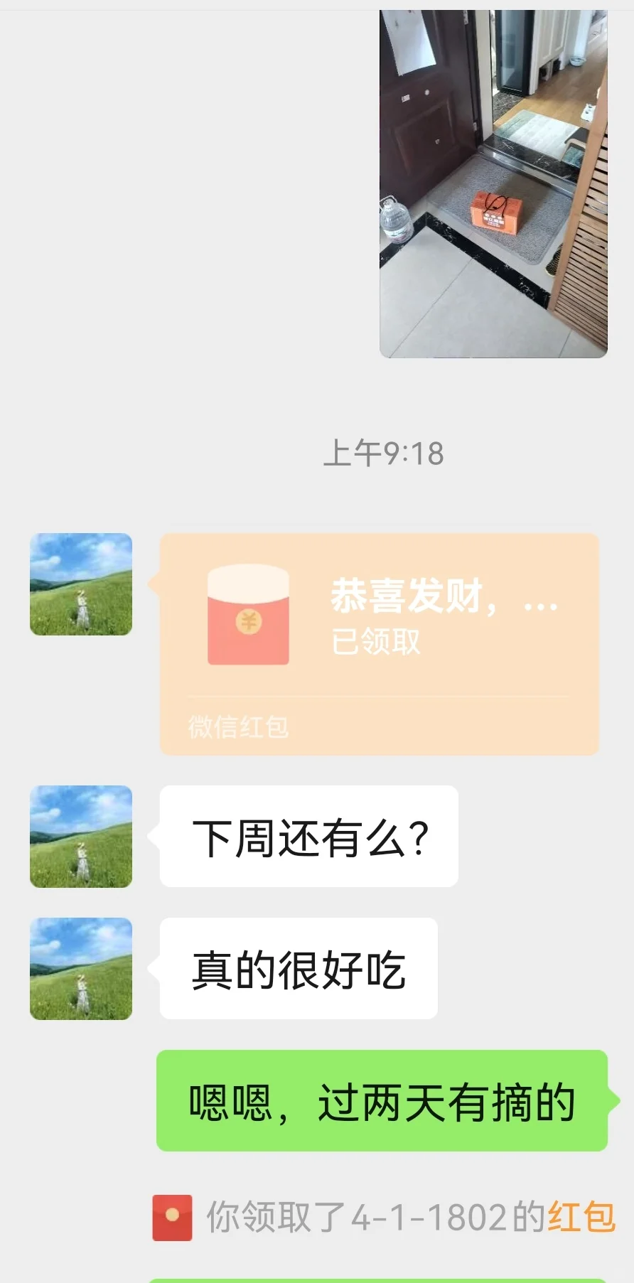 社区团购，你愿意选择全品类还是打爆单品