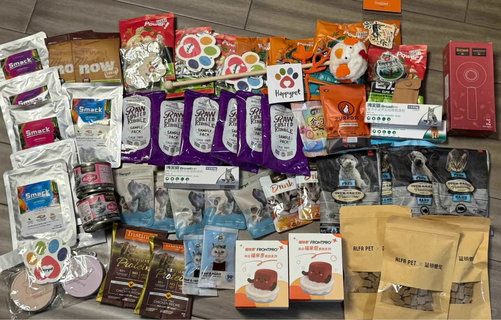 亚宠展专业日第一天6小时战绩