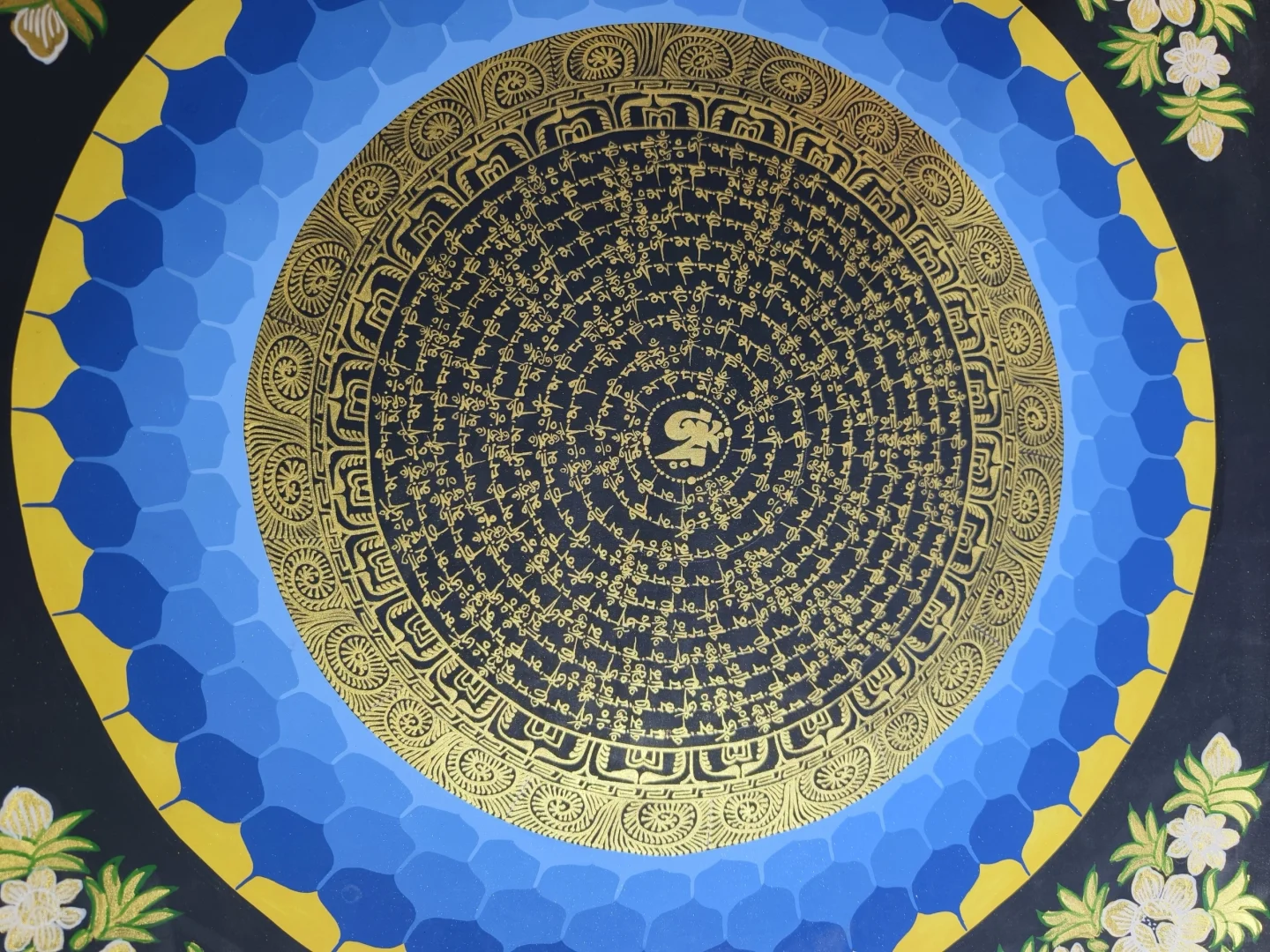 走近进博会看展2024