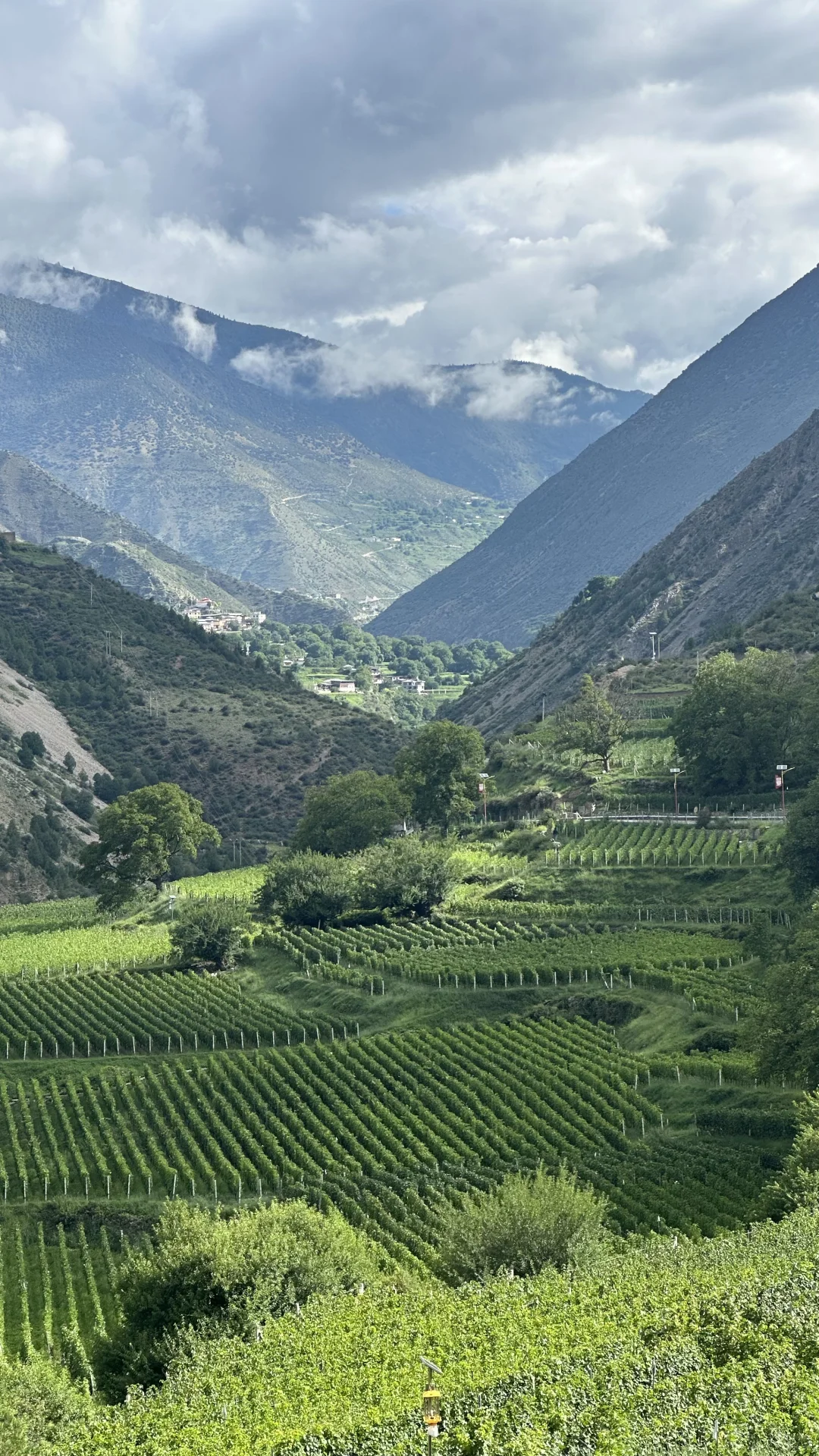 2025第三届梅里雪山国际葡萄酒推介会