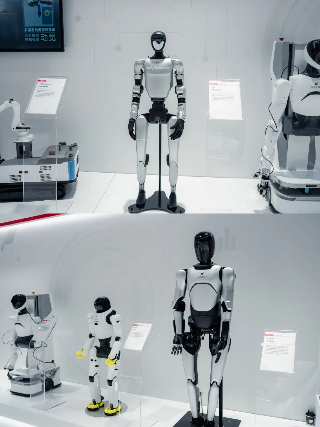 2025世界人工智能大会