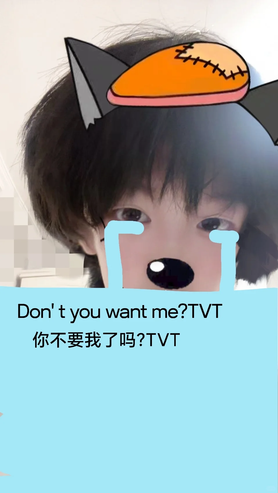 你不要我了吗？TVT