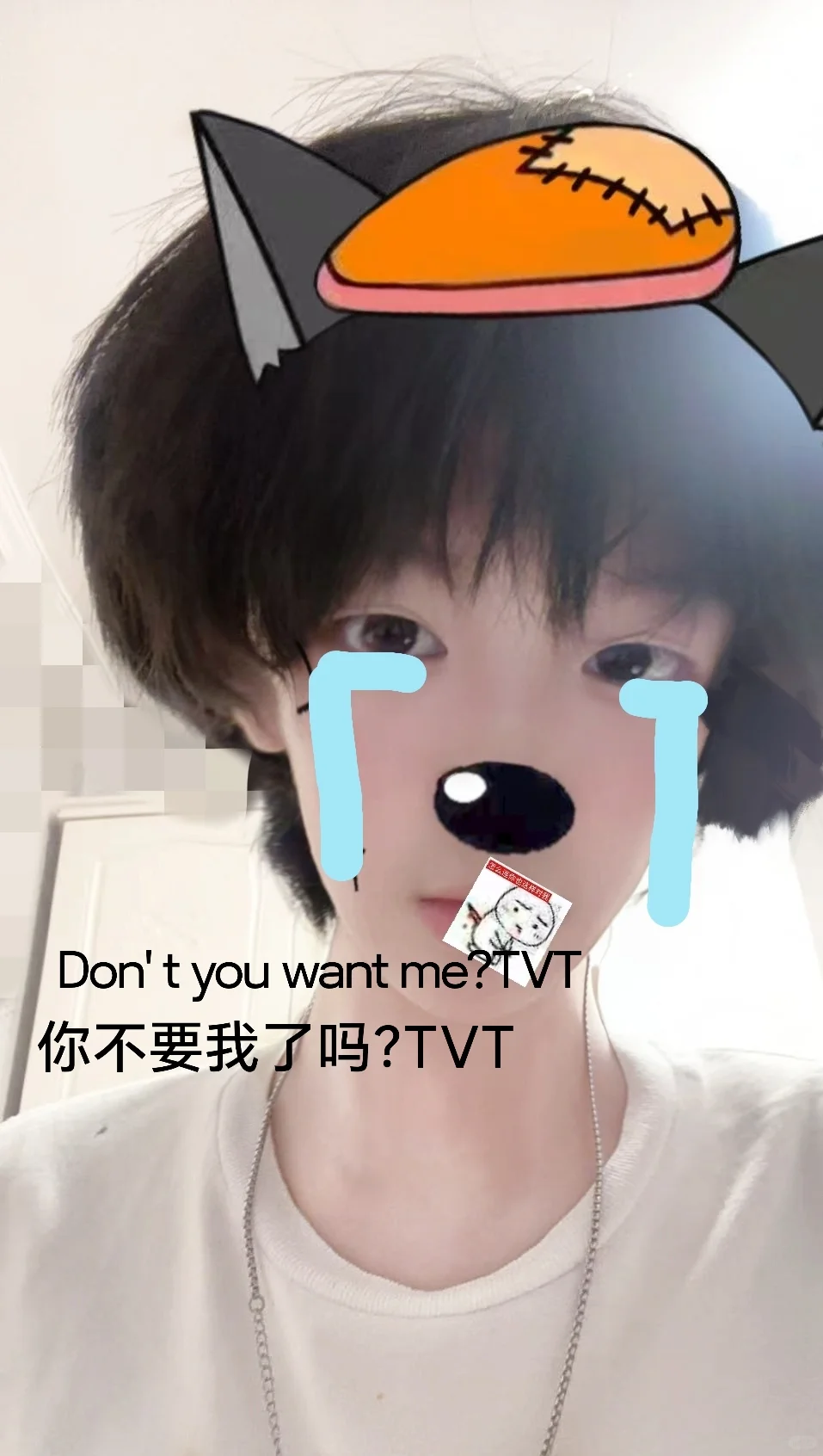 你不要我了吗？TVT