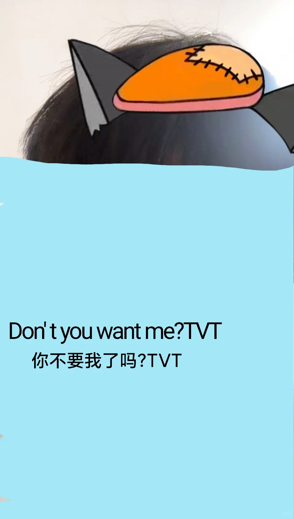 你不要我了吗？TVT