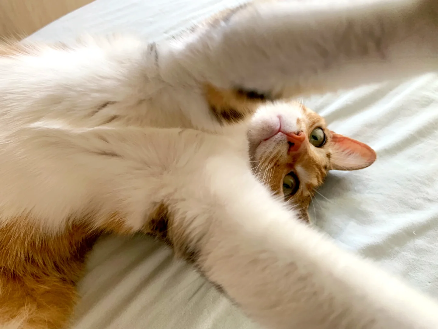 这谁能顶得住…