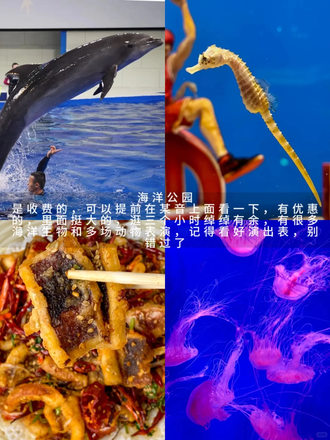 去了日照之后，才知道，自己穿的衣服有多蠢