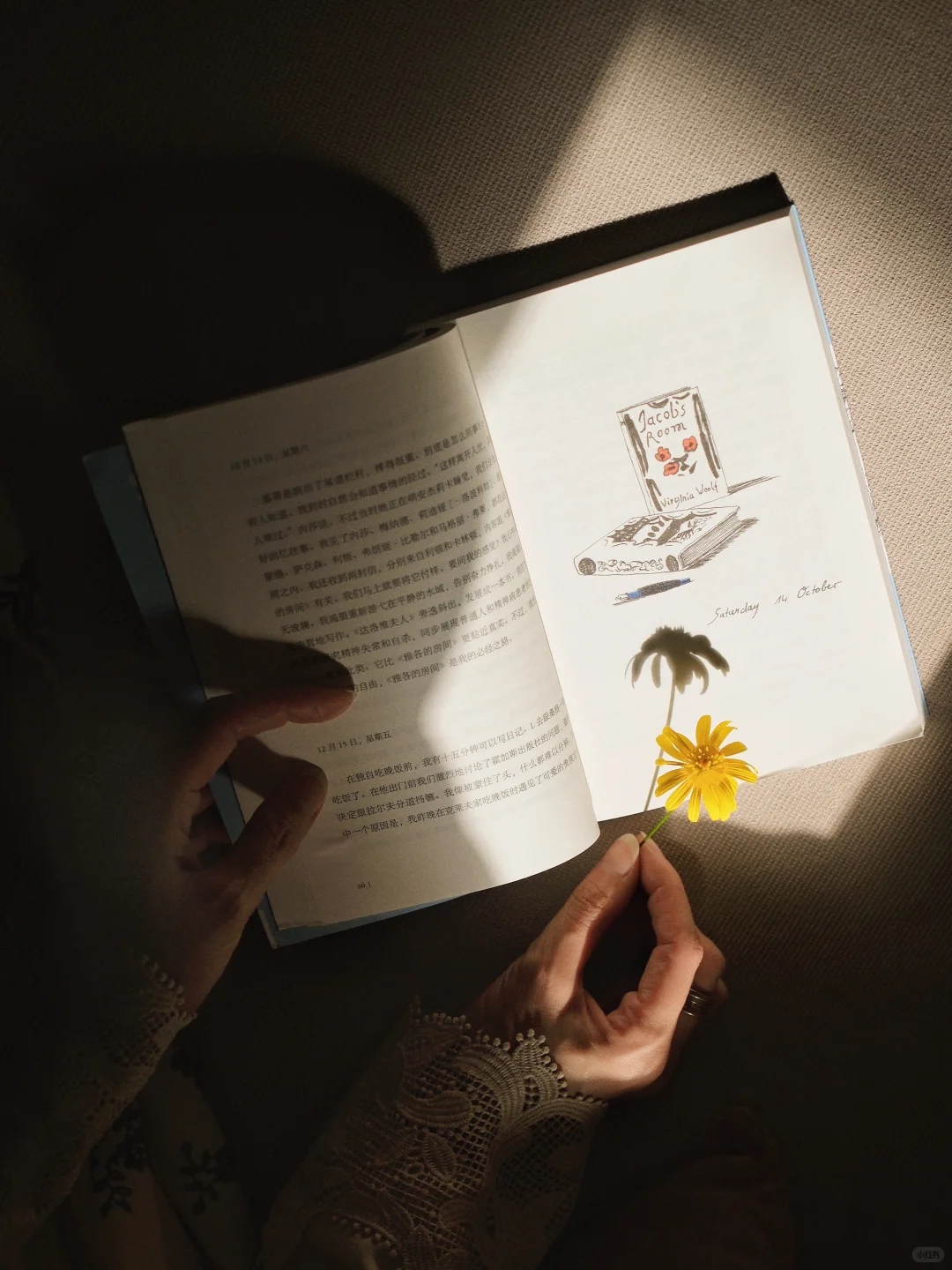 入秋了，光也温柔了～