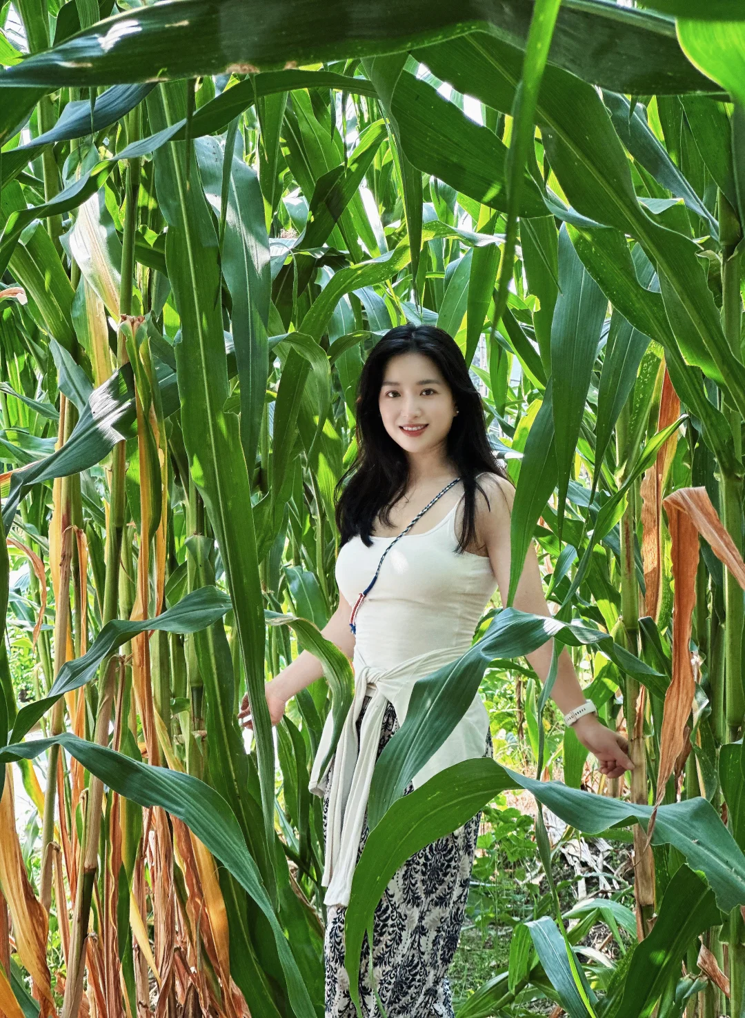 走进庄稼地感受大自然