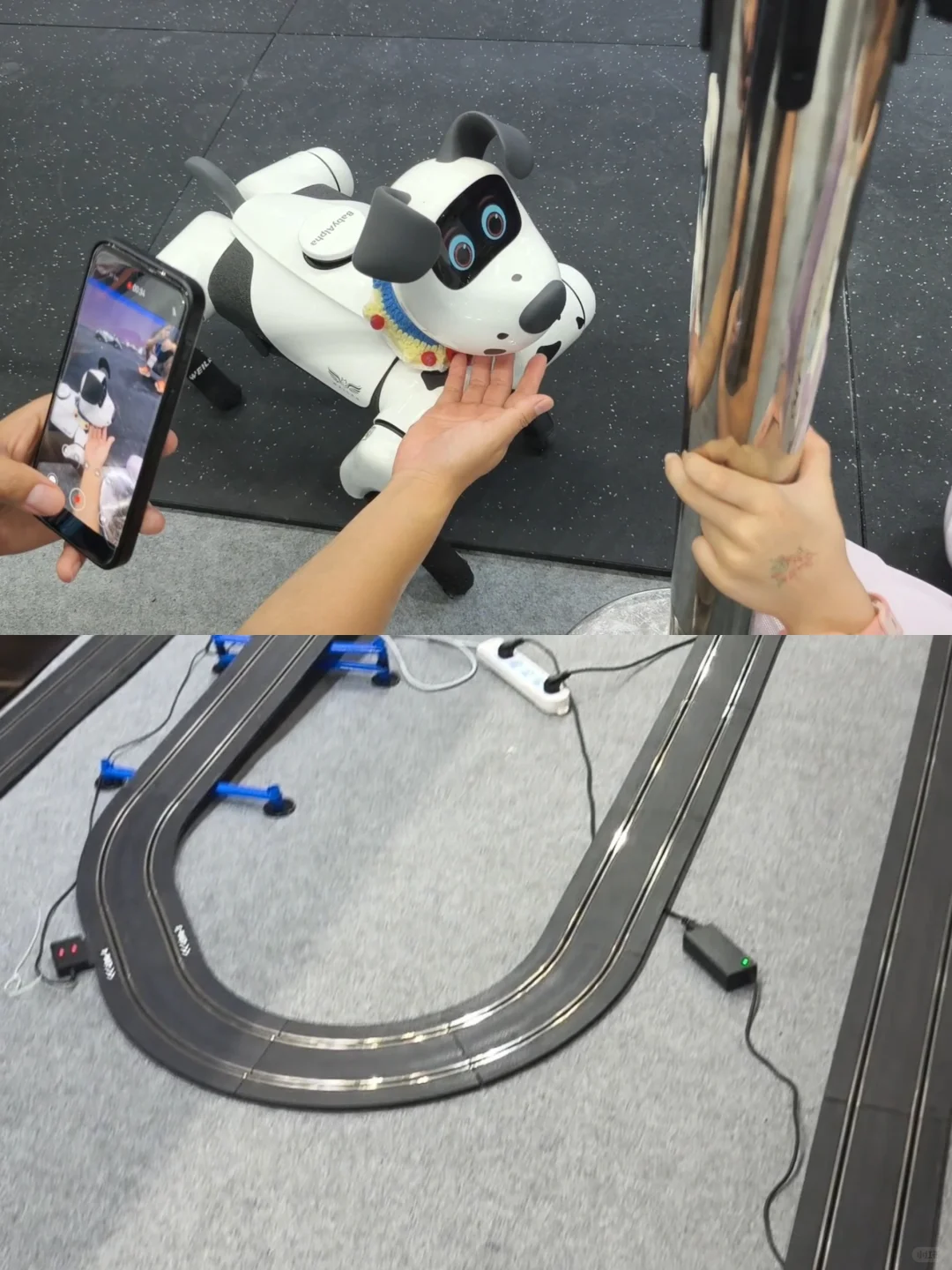 被广州博览会机器人专区惊掉下巴!