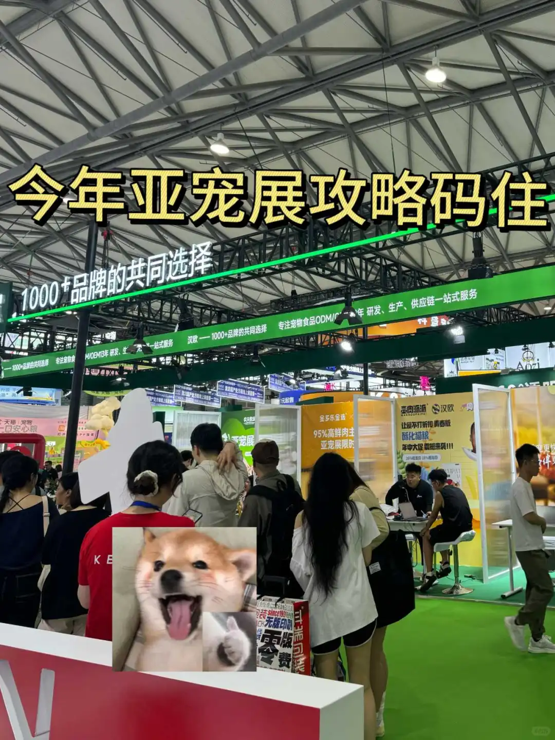 2025 上海亚宠展最强攻略来咯