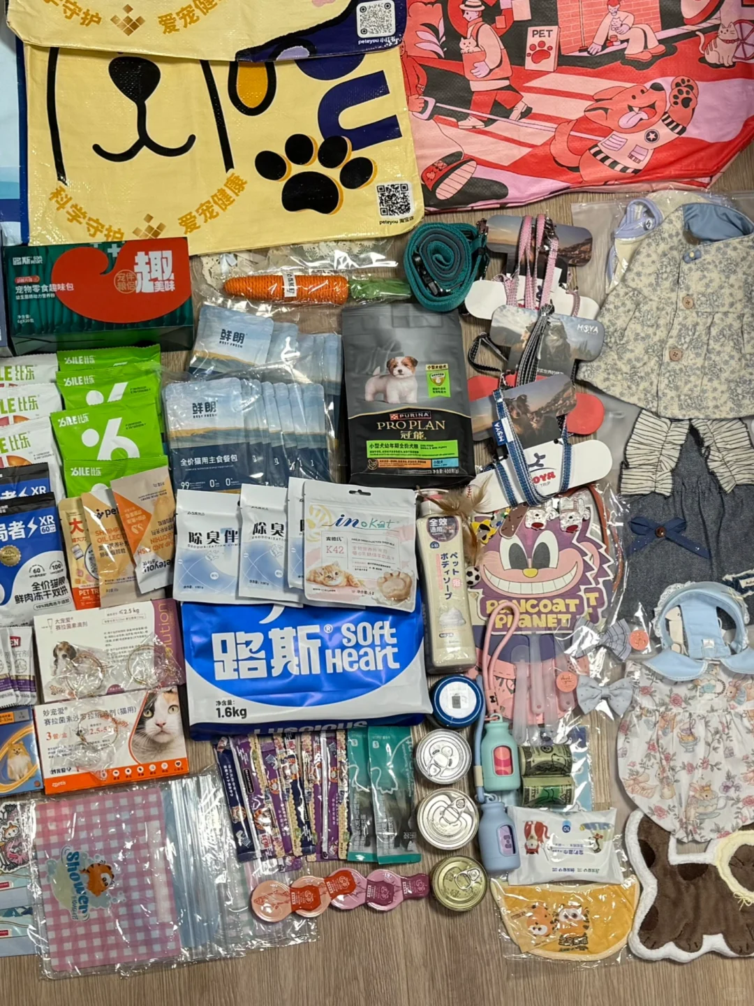 2025亚宠展一天战绩！?附攻略?