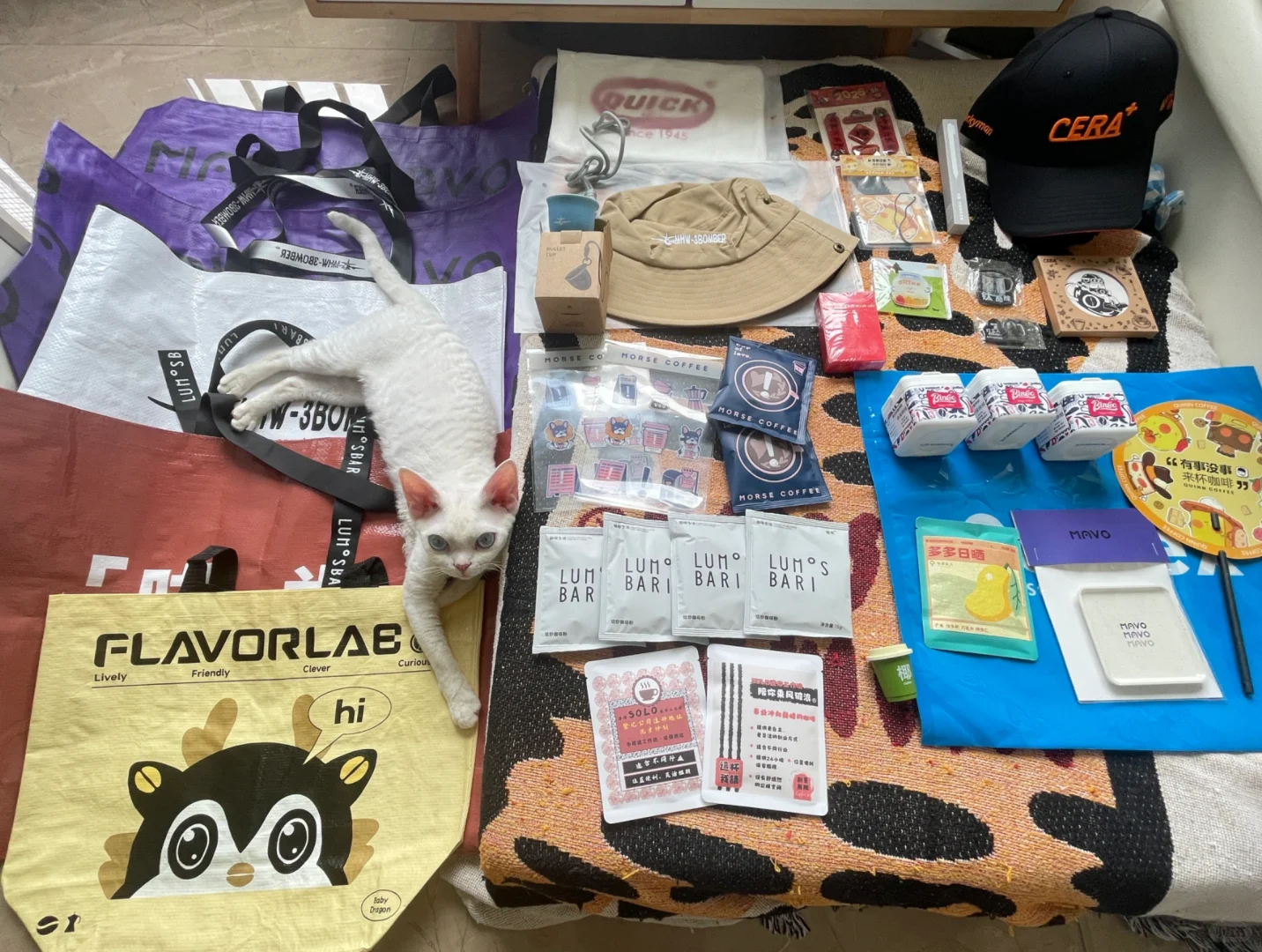 花费居然是0️⃣诶｜2025深圳咖啡展攻略