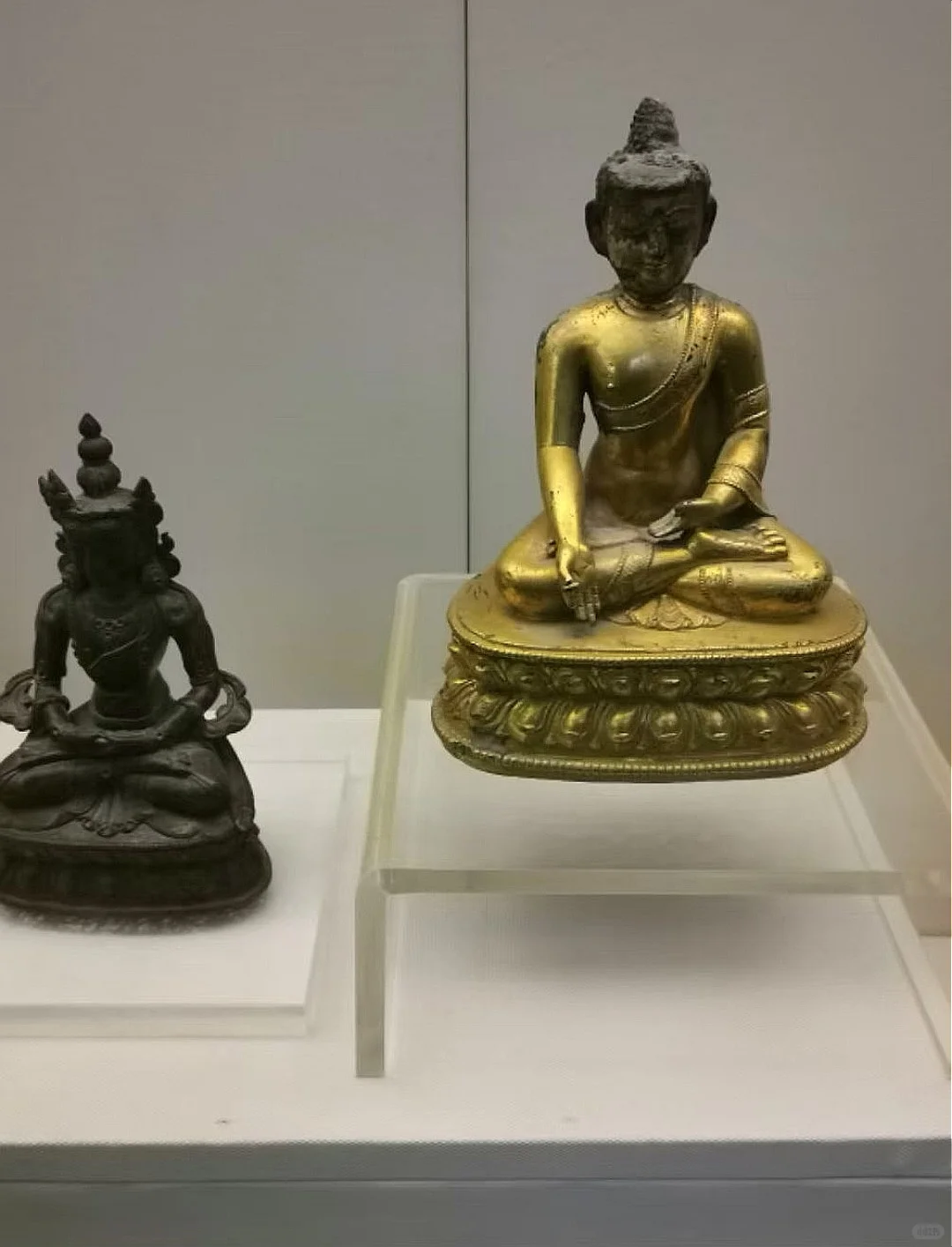 甘肃省博物馆保姆级攻略