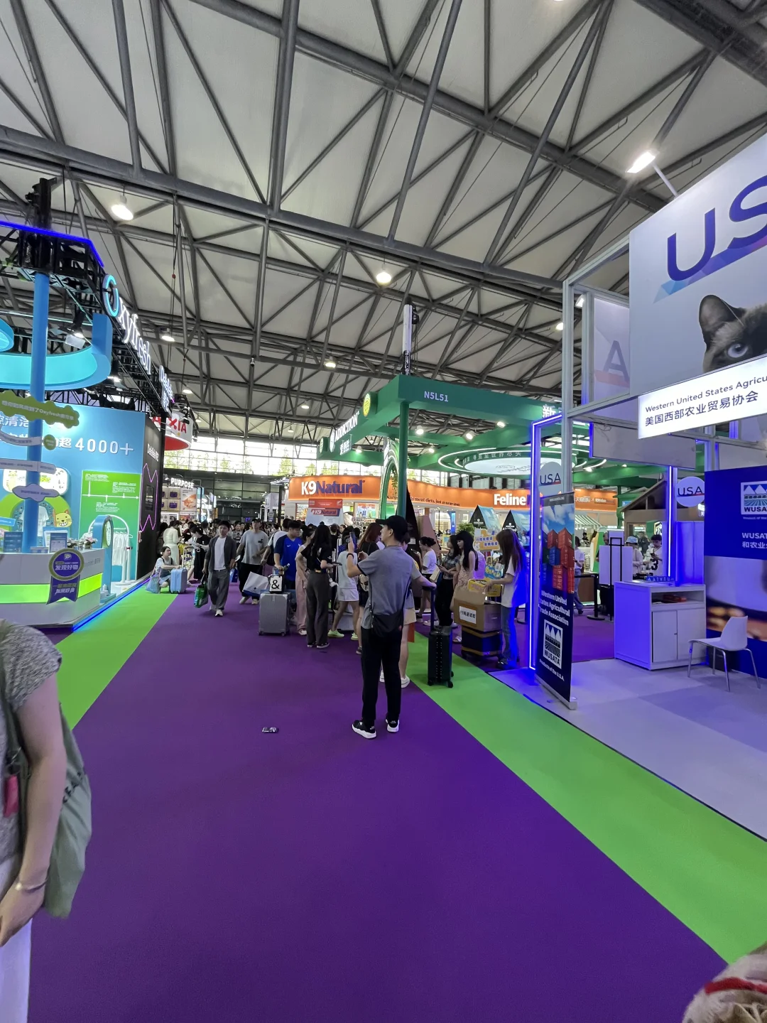 亚宠展碎碎念 ～出海是一定要走的路