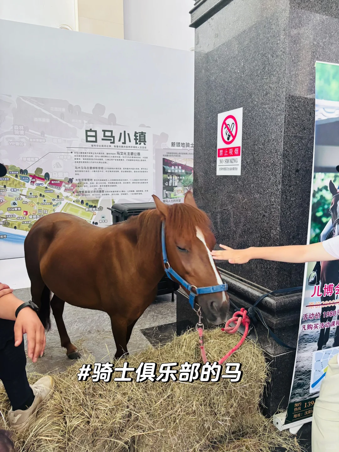 沈阳儿博会最后一天捡漏