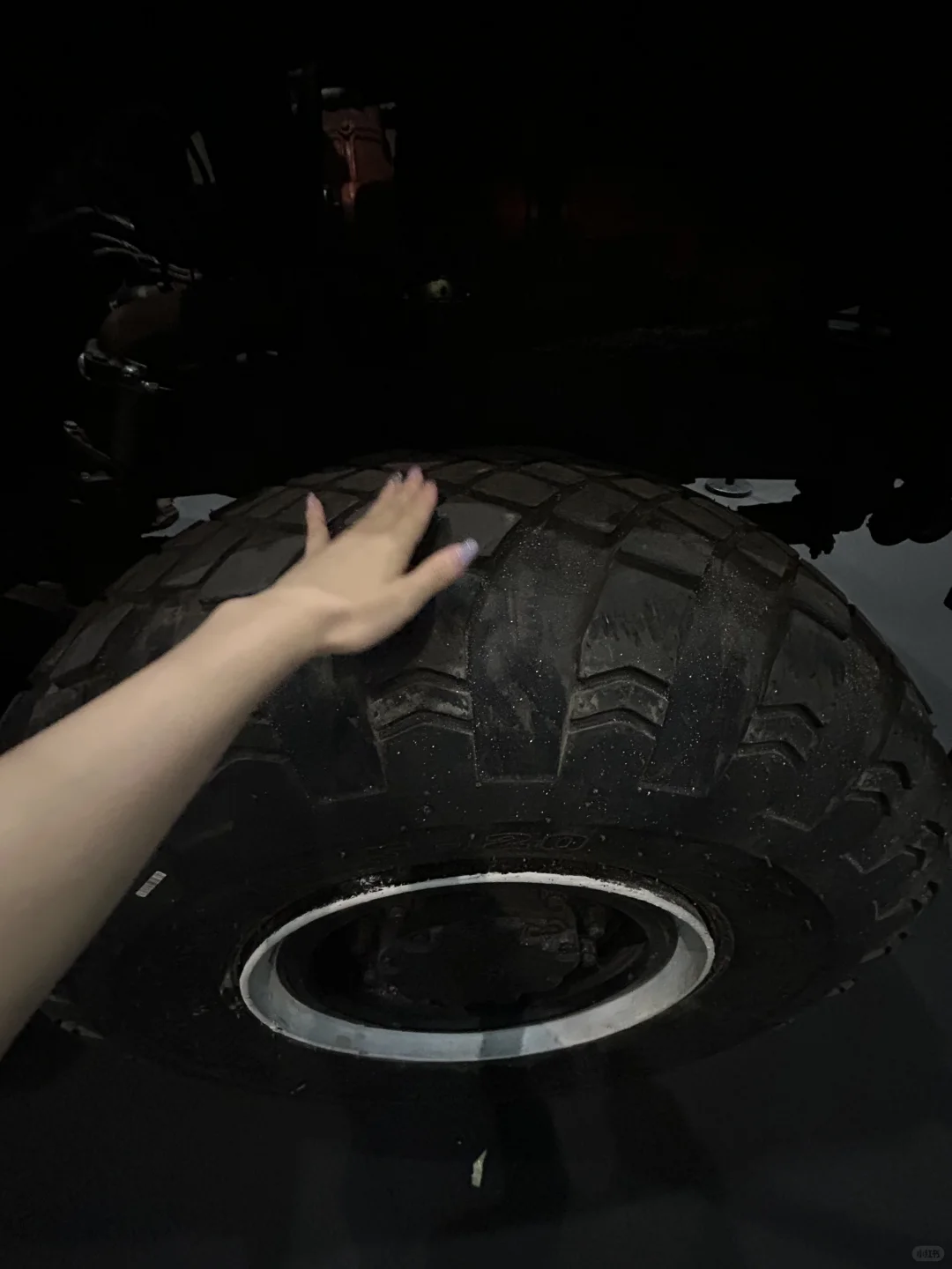 不敢相信!居然能摸!