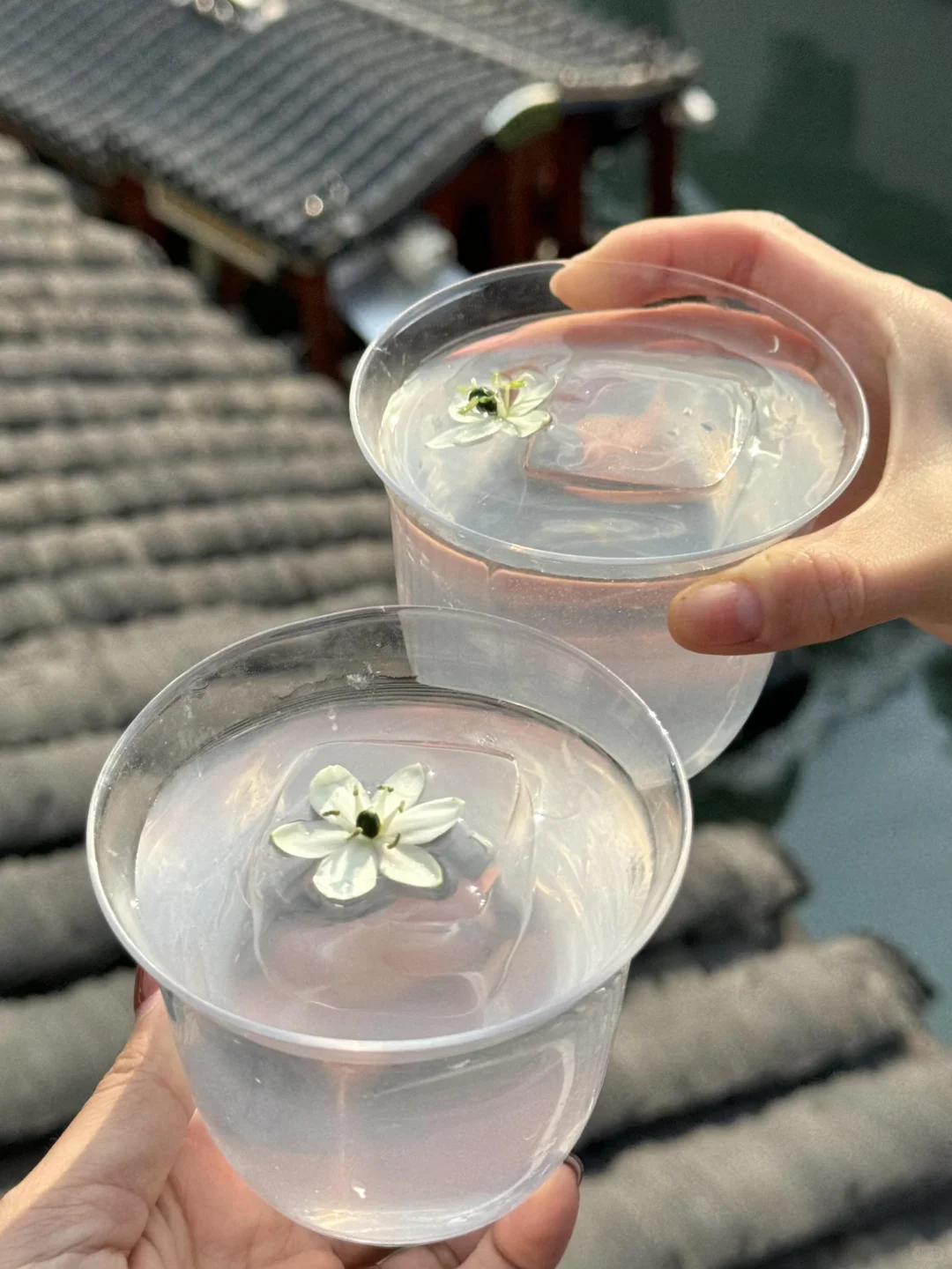 苏州花的zui值一笔❗️去平江路吃私房菜才……