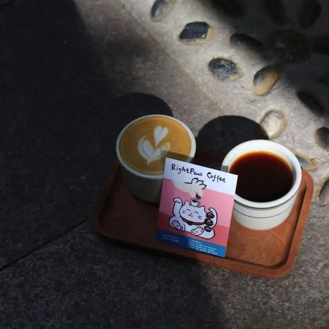 逛展攻略｜深圳咖啡展，深圳巧克力展