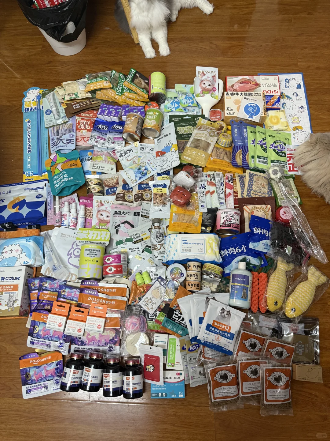 亚宠展DAY1太丰富啦