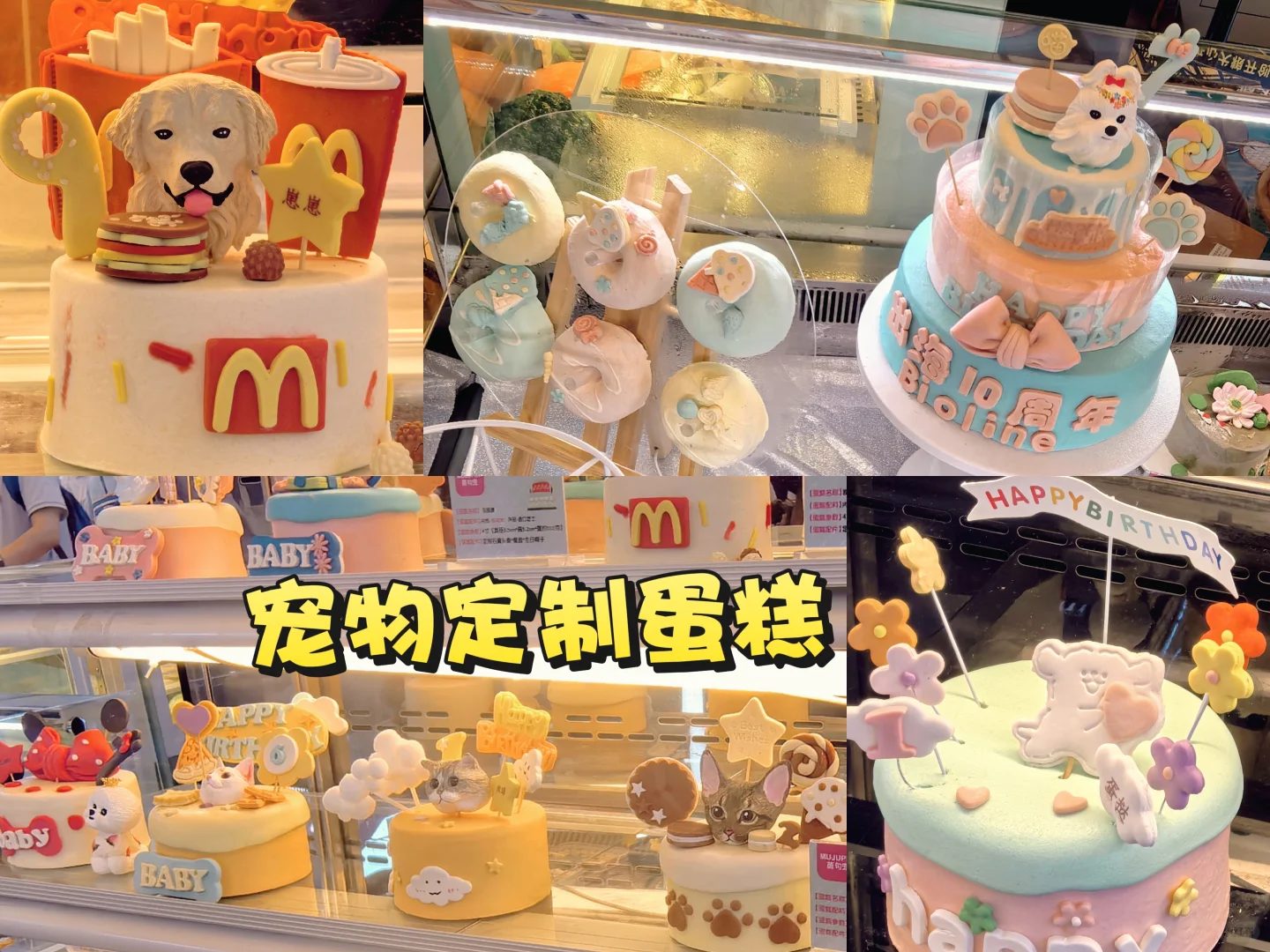 上海展会｜亚宠展2025