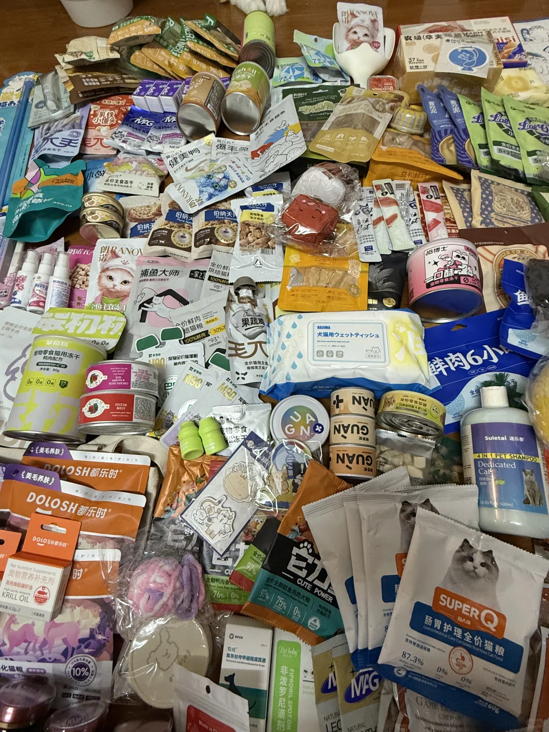 亚宠展DAY1太丰富啦