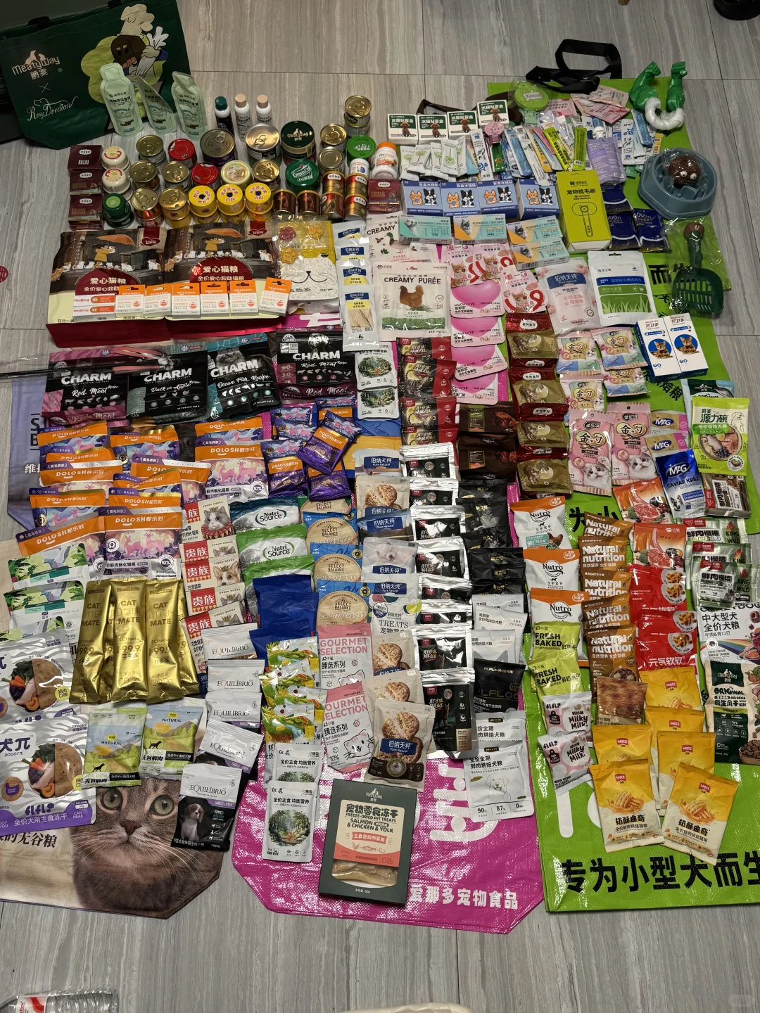 ??2025上海亚宠展超全攻略‼️