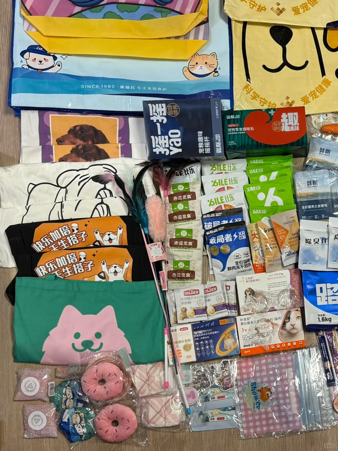 2025亚宠展一天战绩！?附攻略?