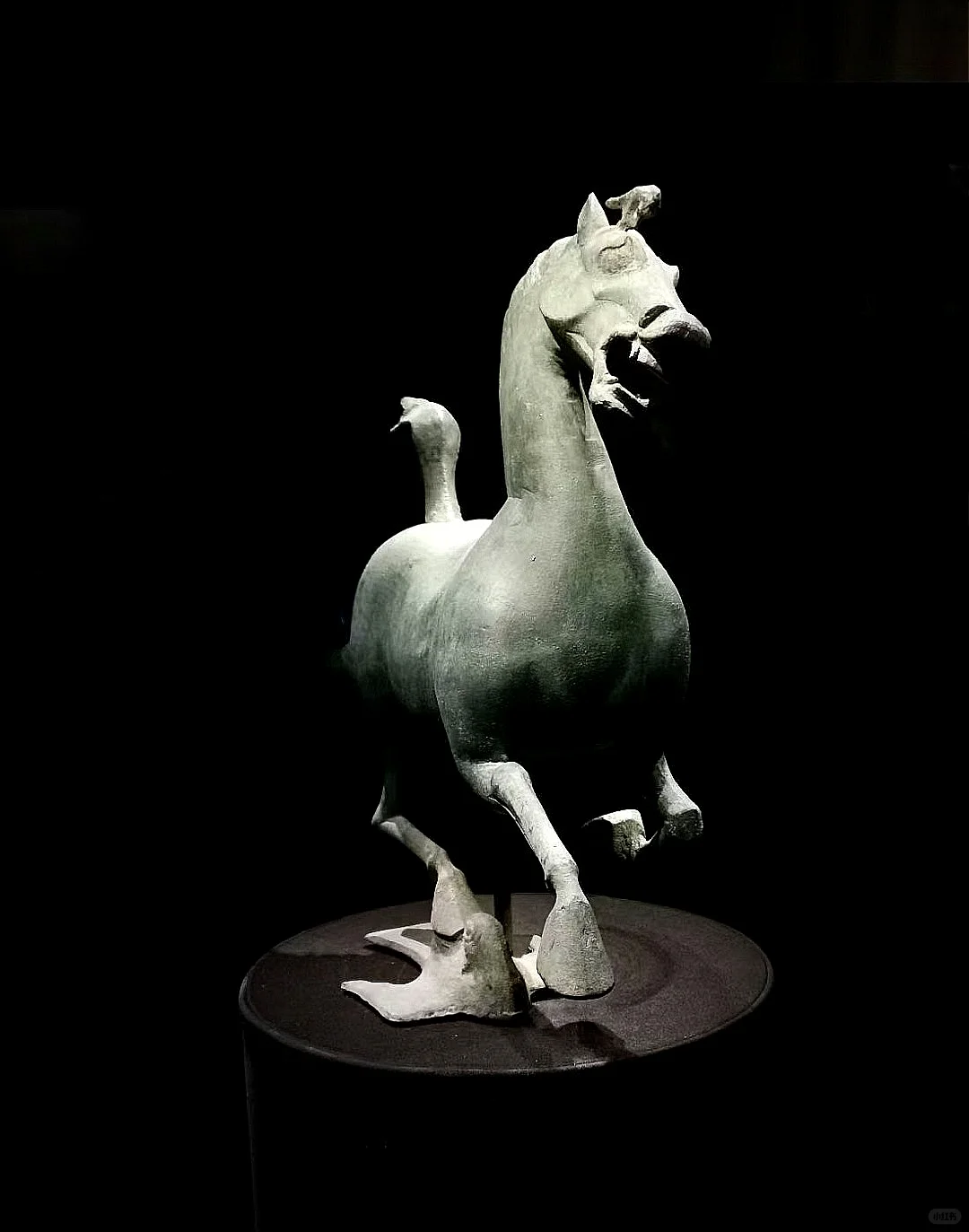 甘肃省博物馆保姆级攻略