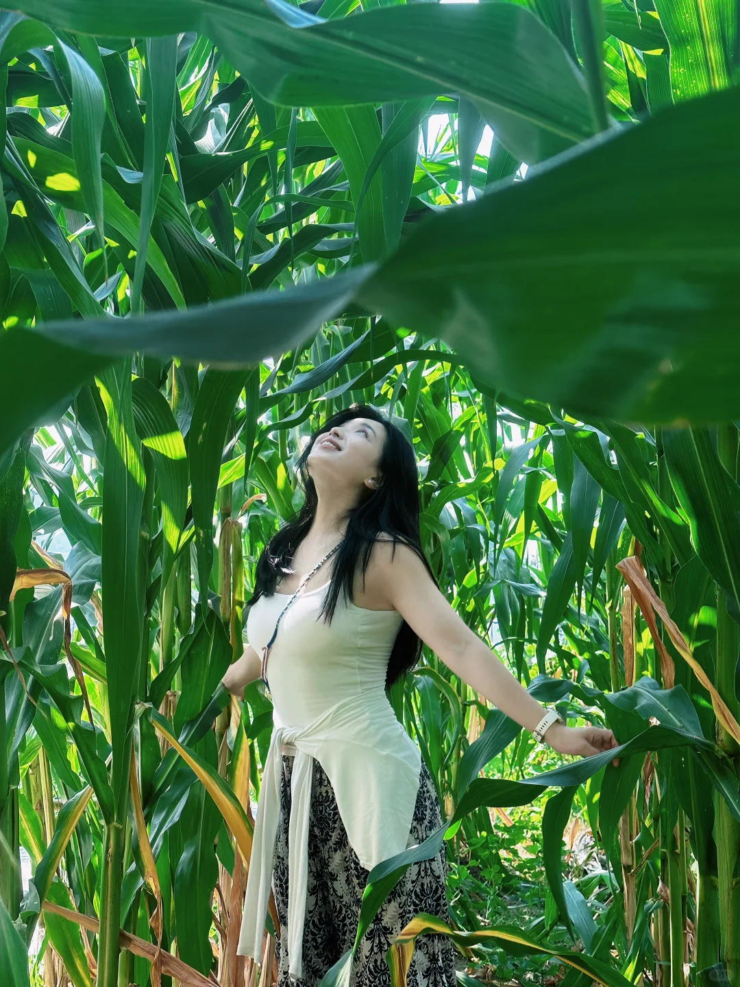 走进庄稼地感受大自然