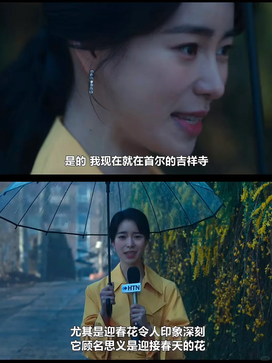 完美人妻妍珍