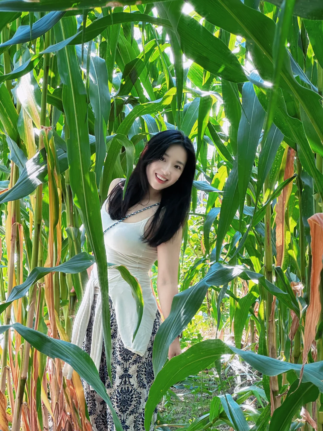 走进庄稼地感受大自然