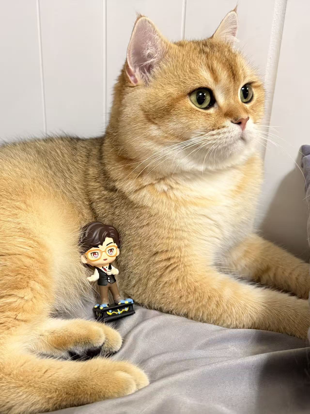 累了就来按个mo，打工人才不怕干活