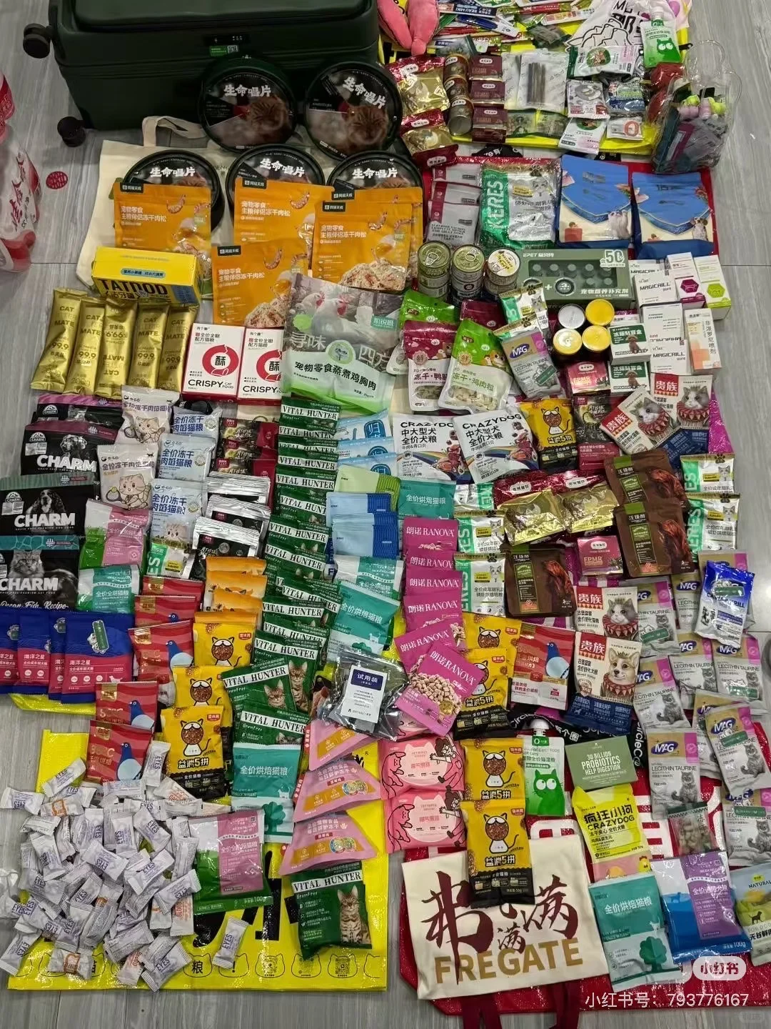 ??2025上海亚宠展超全攻略‼️