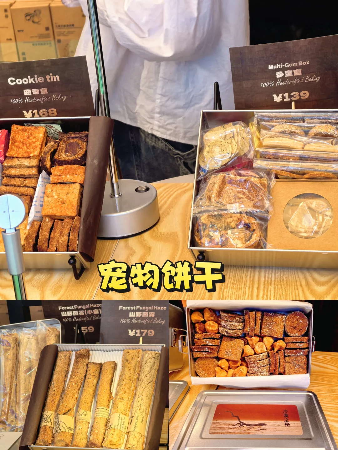 上海展会｜亚宠展2025