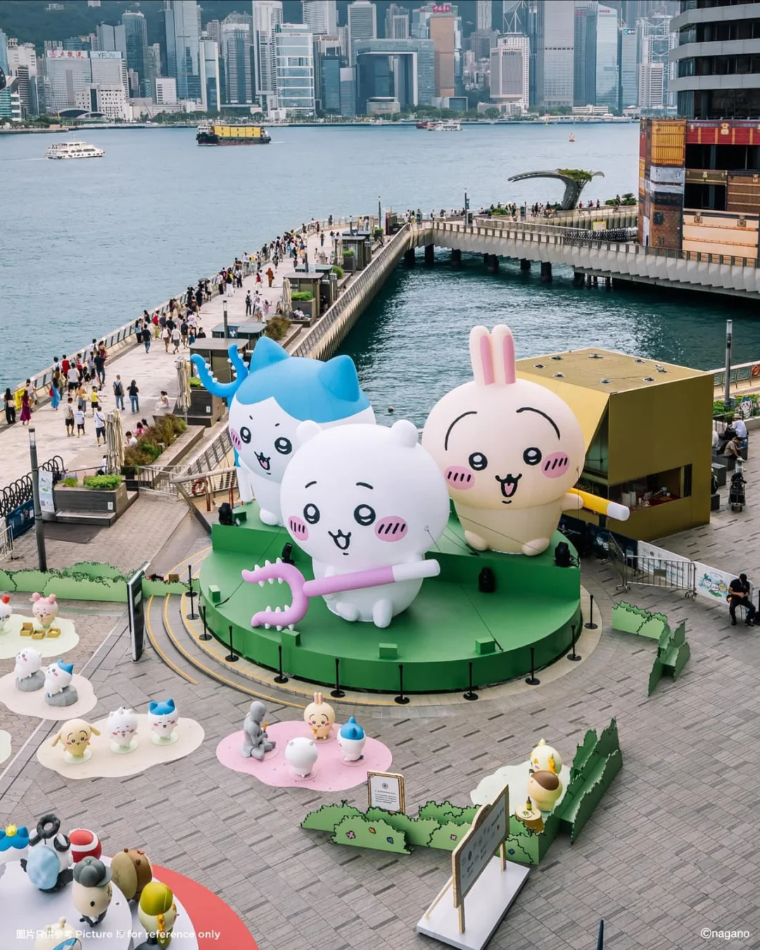 今天的??！Chiikawa Days大型特展开幕！！！