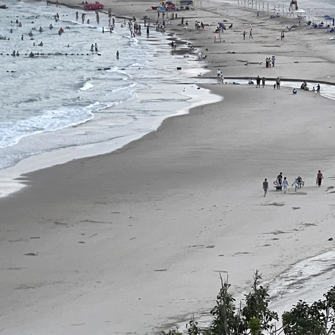 ✿ 在海边 浅尝了秋天的燕麦碎花♬