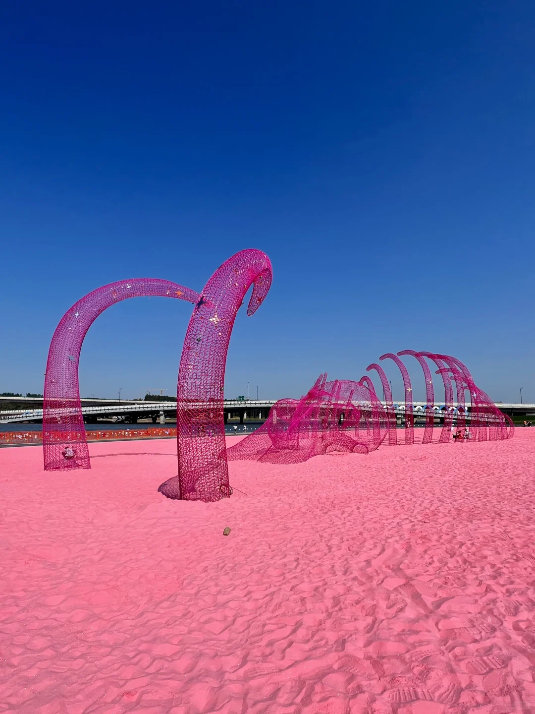 不是巴厘岛?️长春粉色沙滩太美了｜肆季南河