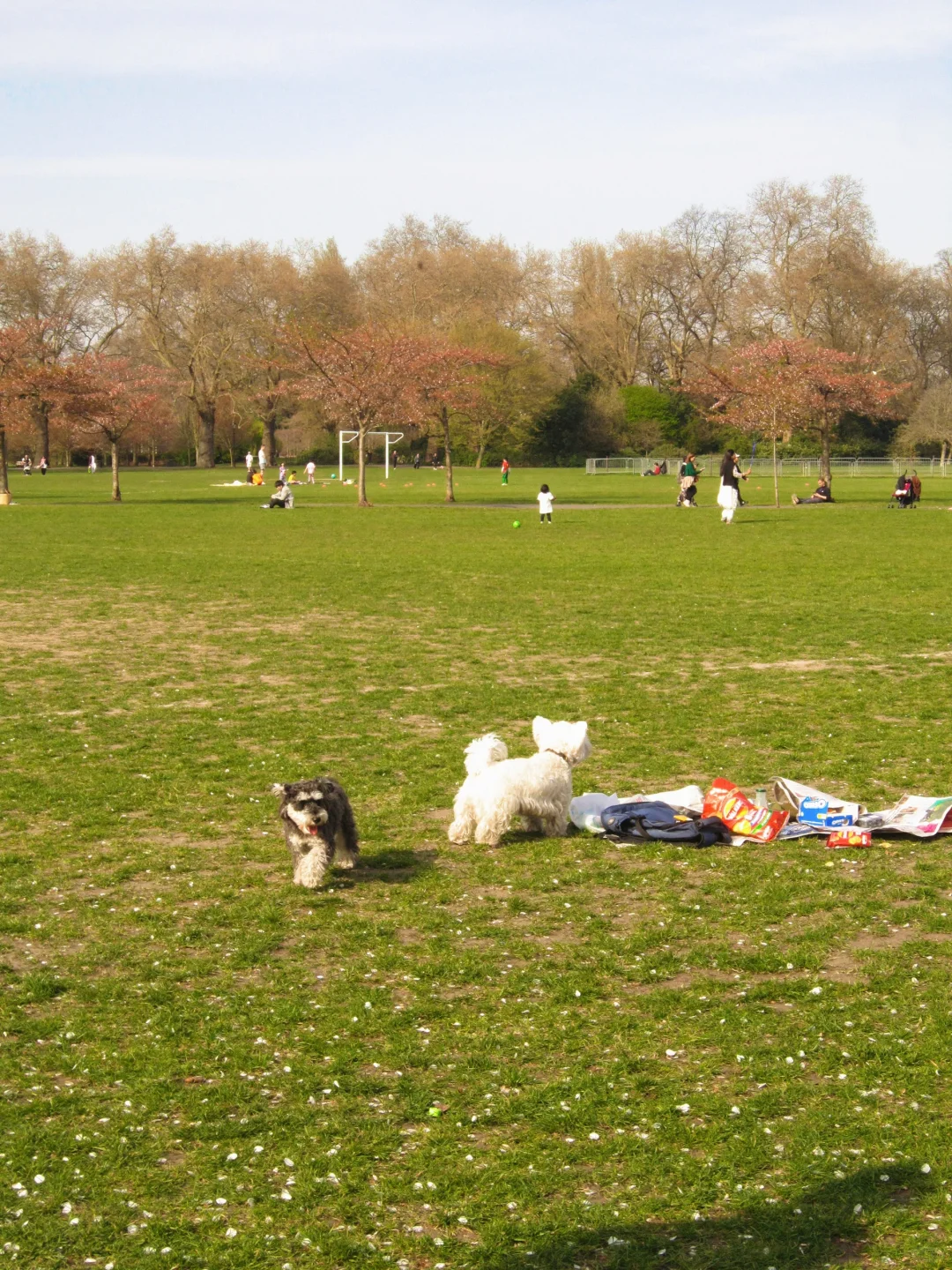 Battersea Park?