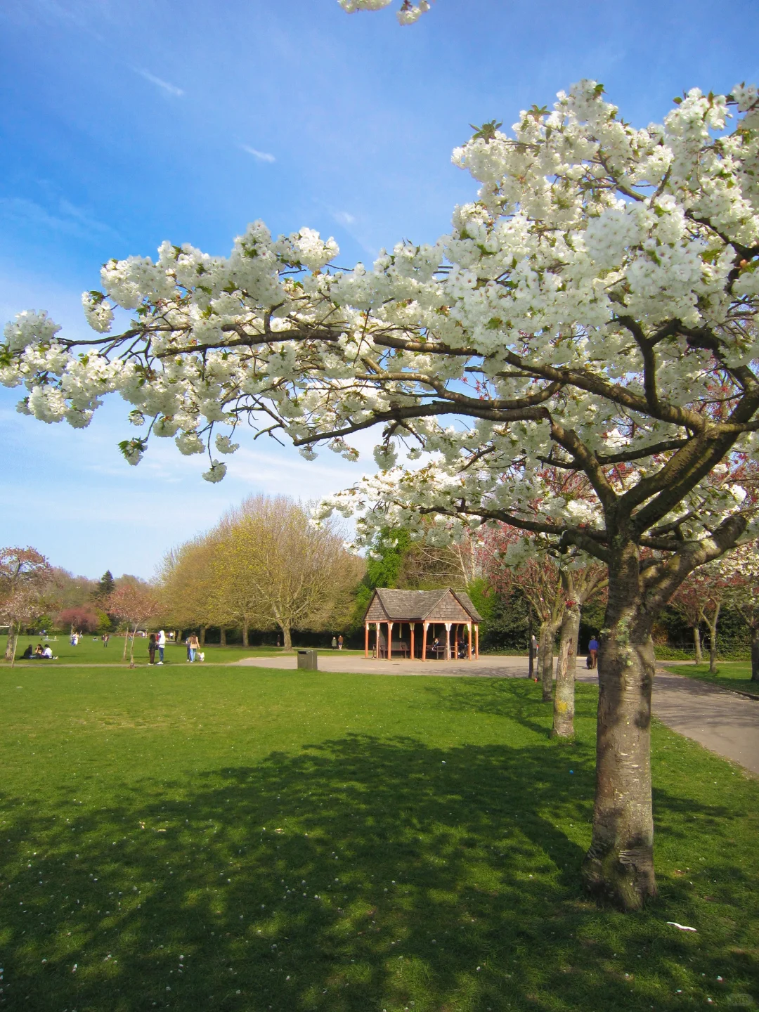 Battersea Park?
