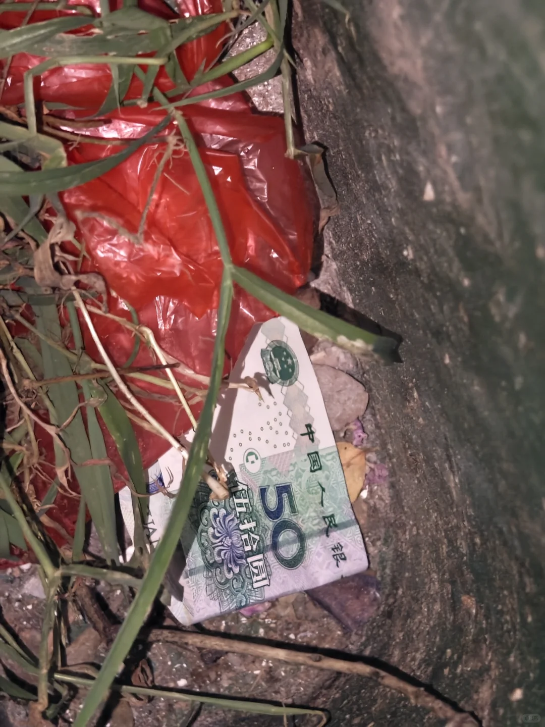 妙龄少妇深夜翻垃圾桶究竟为何