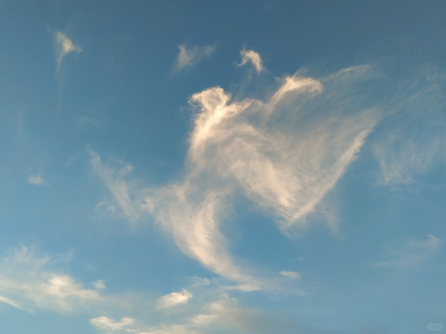 穿衣自由是薛定谔的自由